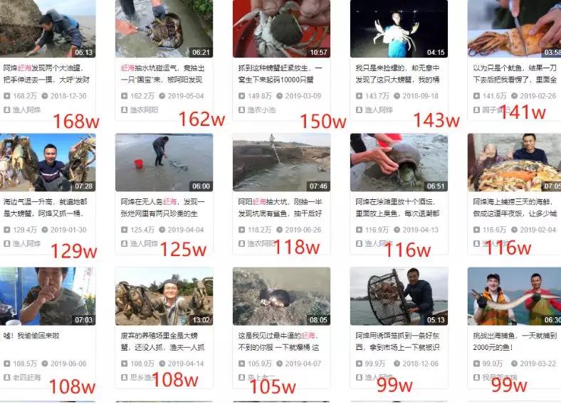 为什么一线社畜都开始看赶海视频了？