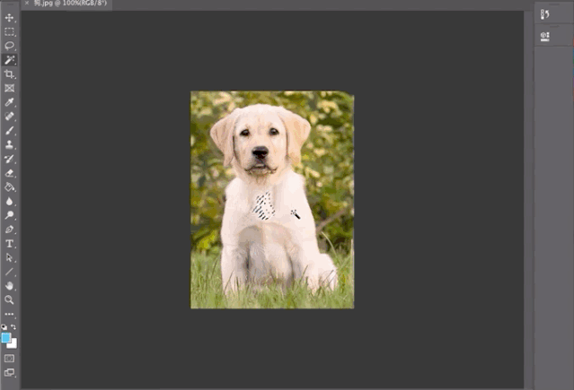 Adobe最新的AI抠图算法：一键抠出细密发丝，即将上线Photoshop 2020