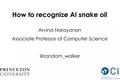 AI不是万灵神药：看看普林斯顿大学的这份“假AI防骗报告”