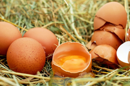 36氪首发 | 以蛋品供应链整合切入生鲜市场，「龙龙蛋」获星瀚资本 500 万元天使轮融资