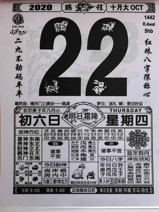 实测8款网红日历，明年撕什么就看这一篇