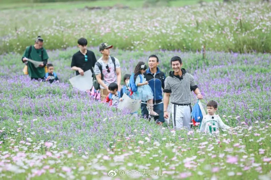 那些离开综艺行业的年轻人