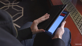 如何做一条有素质的狗？