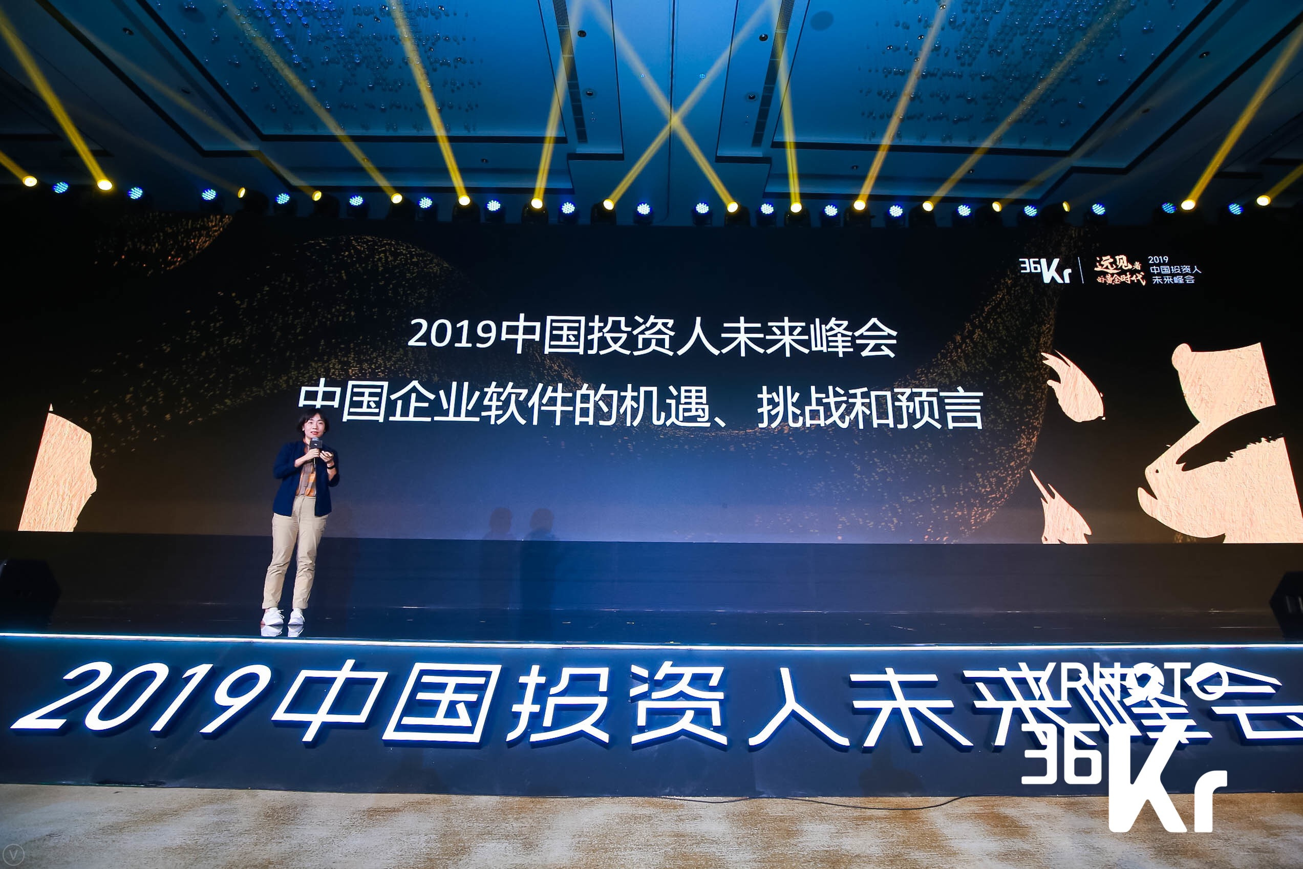 华创资本吴海燕:“中国企业软件的机遇、挑战和预言”| 2019中国投资人未来峰会