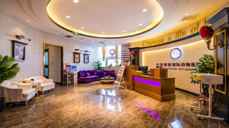 36氪首发 | 做高端连锁宠物医疗服务，「宠爱国际」完成 B轮、B+轮过亿元融资