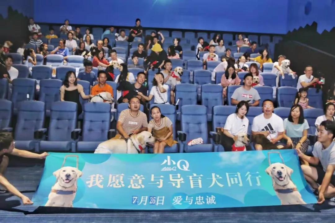 今年猫犬消费规模达到2024亿，紧扣社交需求的「举爪」让铲屎官“以狗会友”