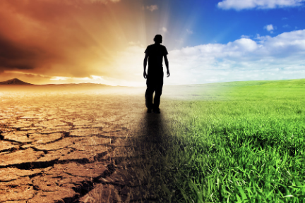 新希望的蝶变史