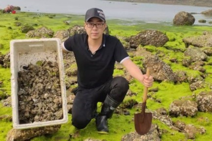 通过带200万网友“云赶海”，他实现了自己的回乡创业梦