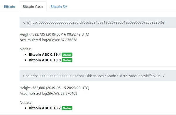 内存池 Bug 致空交易区块，P网已暂停 BTHABC 交易