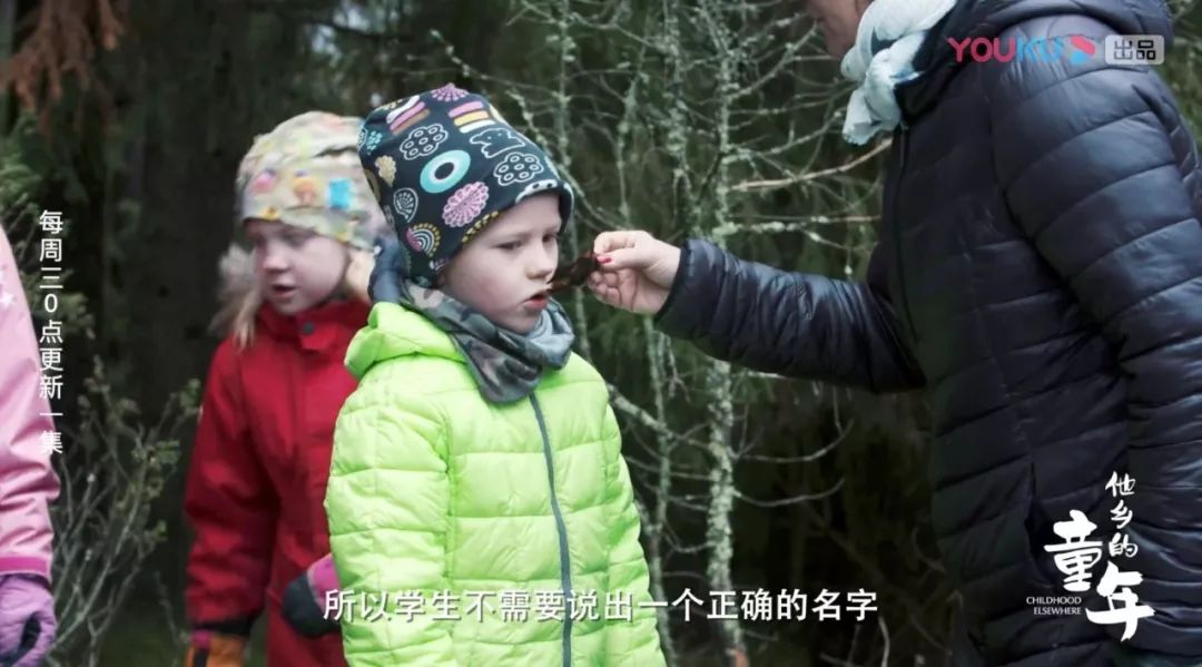 战地记者跨越六国：中国式妈妈的一场世界教育“大冲撞”