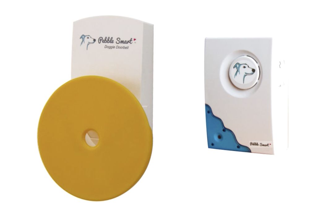 如何做一条有素质的狗？