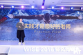 刺猬教育李亚平：年轻人要好奇、要实践、要有审美、要大胆 ｜ WISE 2018新经济之王