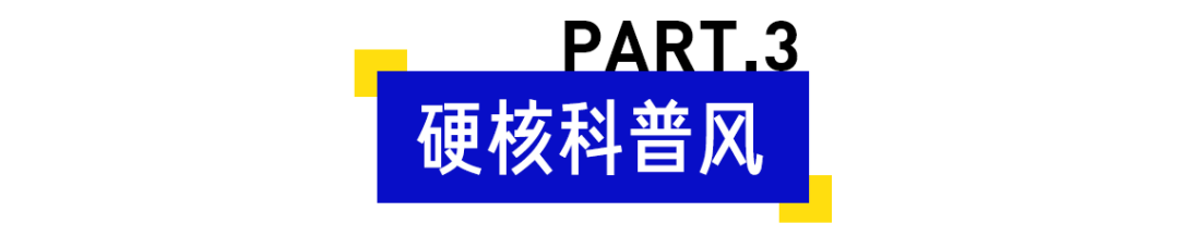 实测8款网红日历，明年撕什么就看这一篇