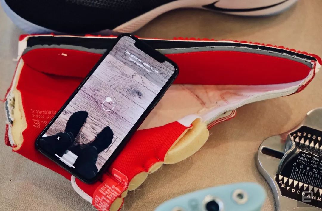 如何做一条有素质的狗？