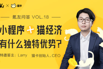 氪友问答第18期：小程序+猫经济，有什么独特优势？