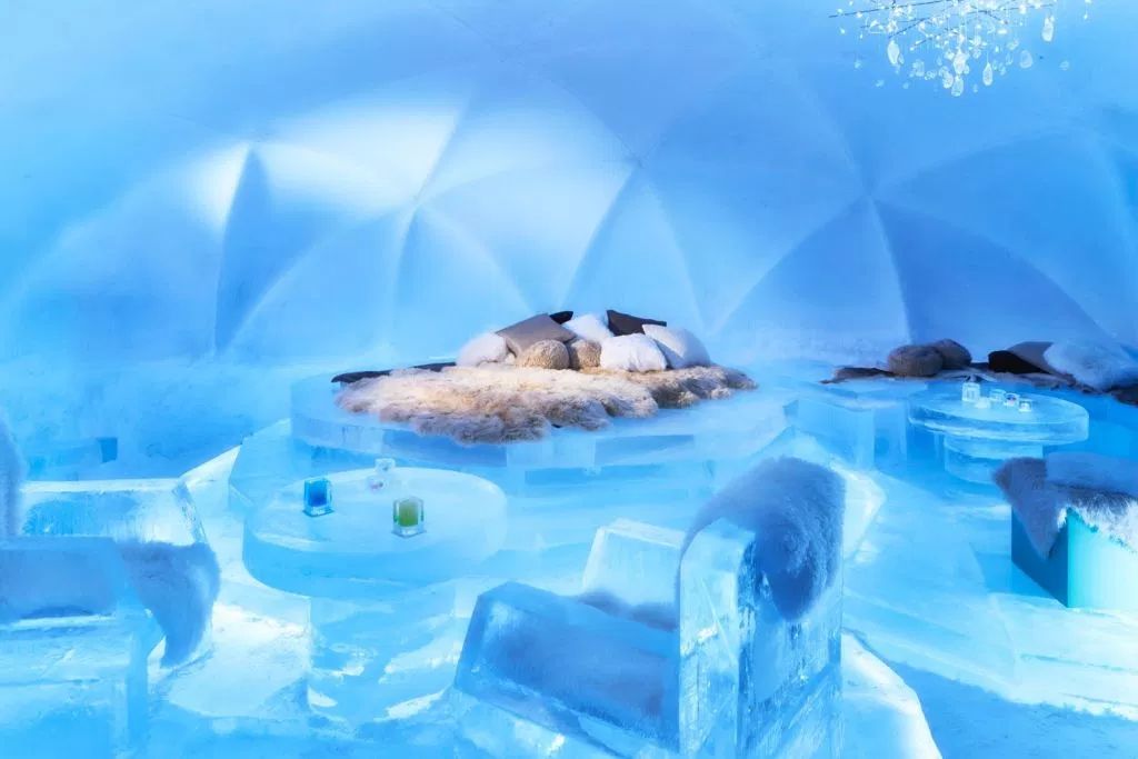 如何做一条有素质的狗？