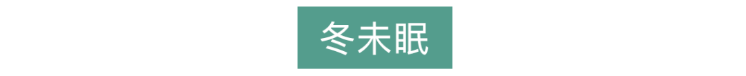 喜茶10款新品测评：生嚼火锅底料面包也太硬核了