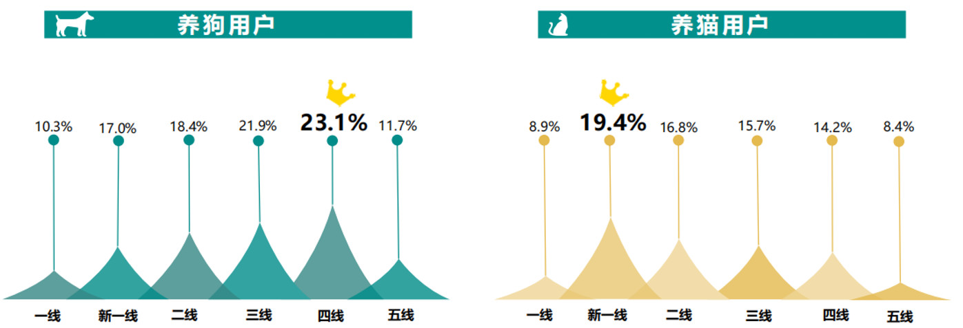 从宠物电商市场分析中，窥见行业痛点