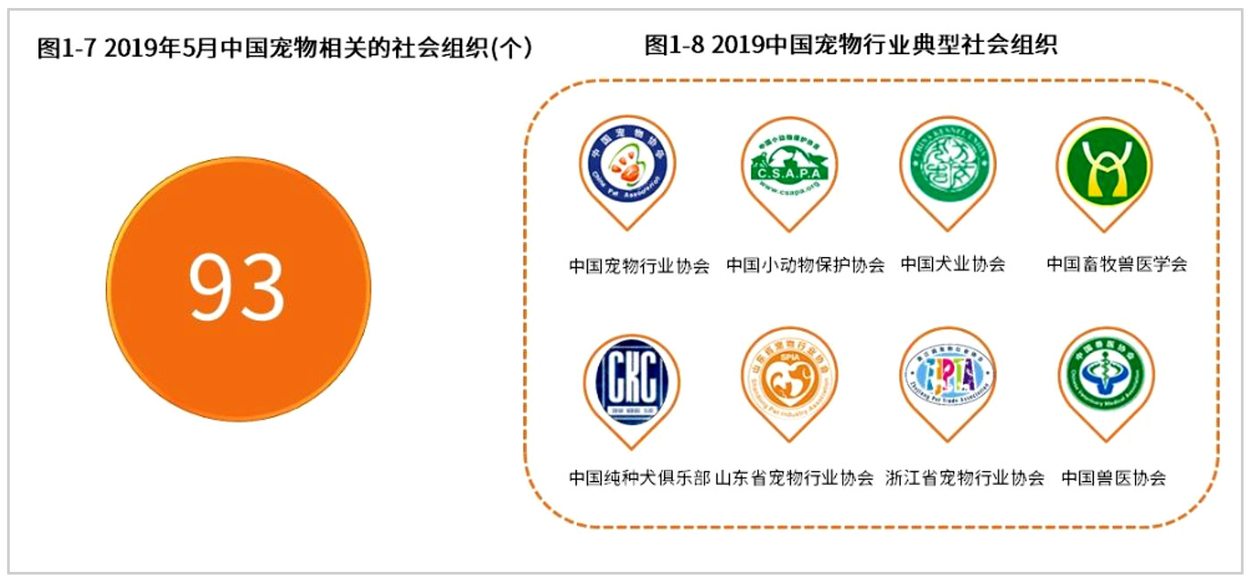 从宠物电商市场分析中，窥见行业痛点