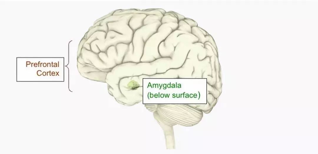 科学家找到了“消除”最痛苦记忆的方法，你愿意尝试吗？-36氪