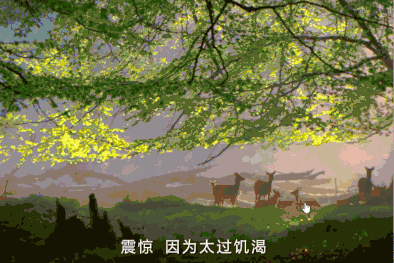 中二病也要讲历史，B站是这样拍纪录片的