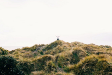 钜盛华质押万科A，宝能系进一步败走