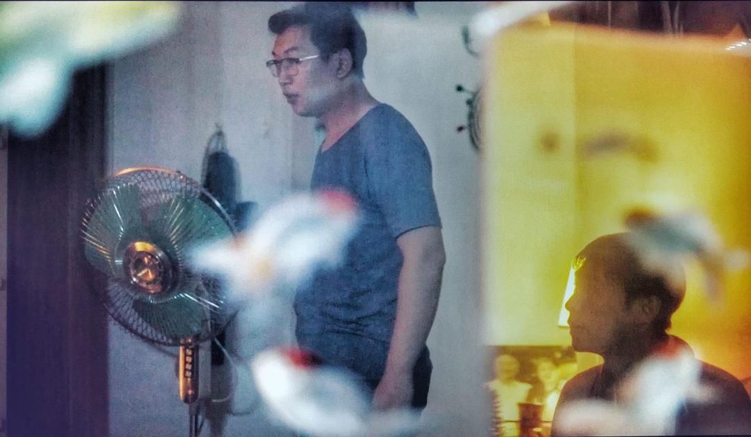 疯长吧，“野生”新人导演们