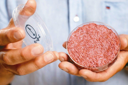 金字火腿4天仅售12份：“人造肉”规模化生产尚早，技术受制于人