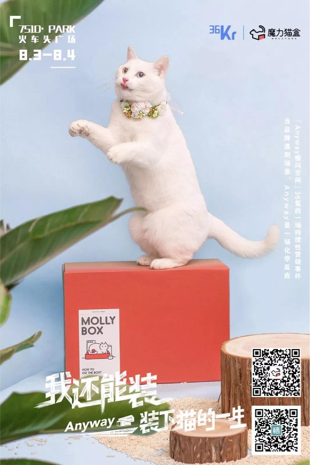 装，是房子的自我修养