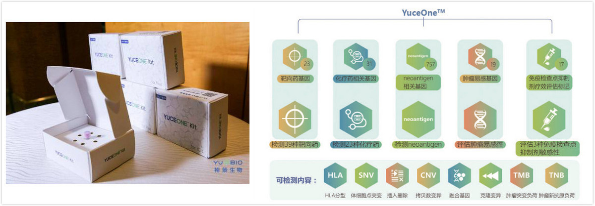​36氪首发 ｜ 用基因检测寻找肿瘤免疫潜在获益患者，「裕策生物」获数亿元B轮融资