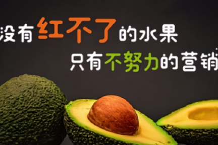 牛油果的网红之路:没有红不了的水果,只有不努力的营销