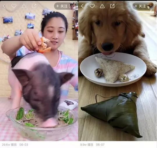 疯狂的土味吃播：表演的不是吃而是“自虐”