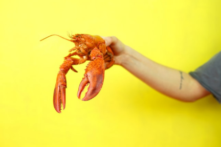 看好千亿潜力的即食海鲜市场，「大鲜浪」要做海鲜版“绝味”