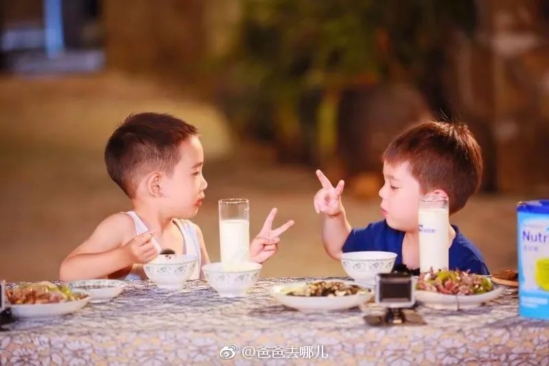 那些离开综艺行业的年轻人