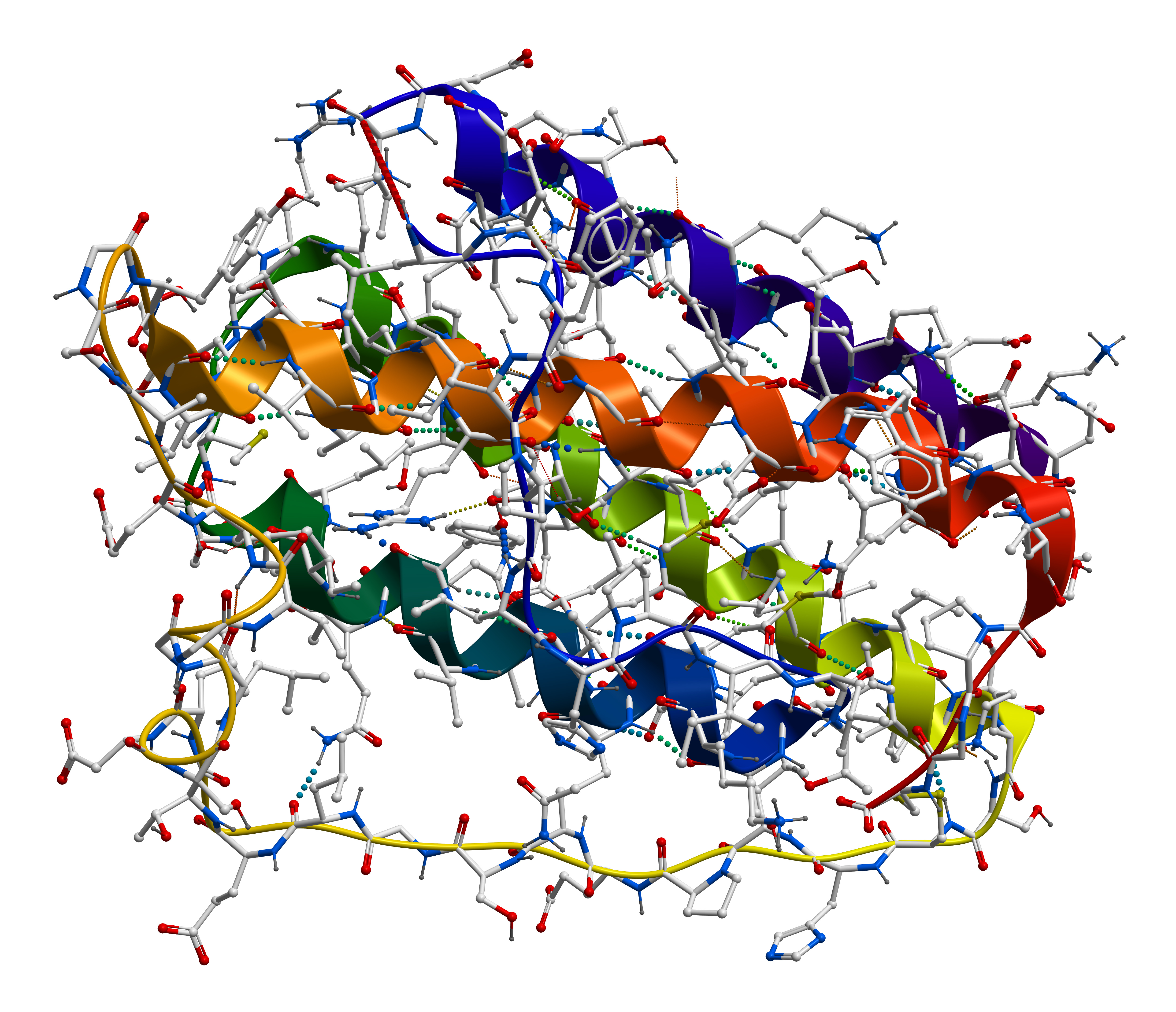 蛋白质是一种复杂的大分子聚合物,在生物中起到了生命活动承担者的