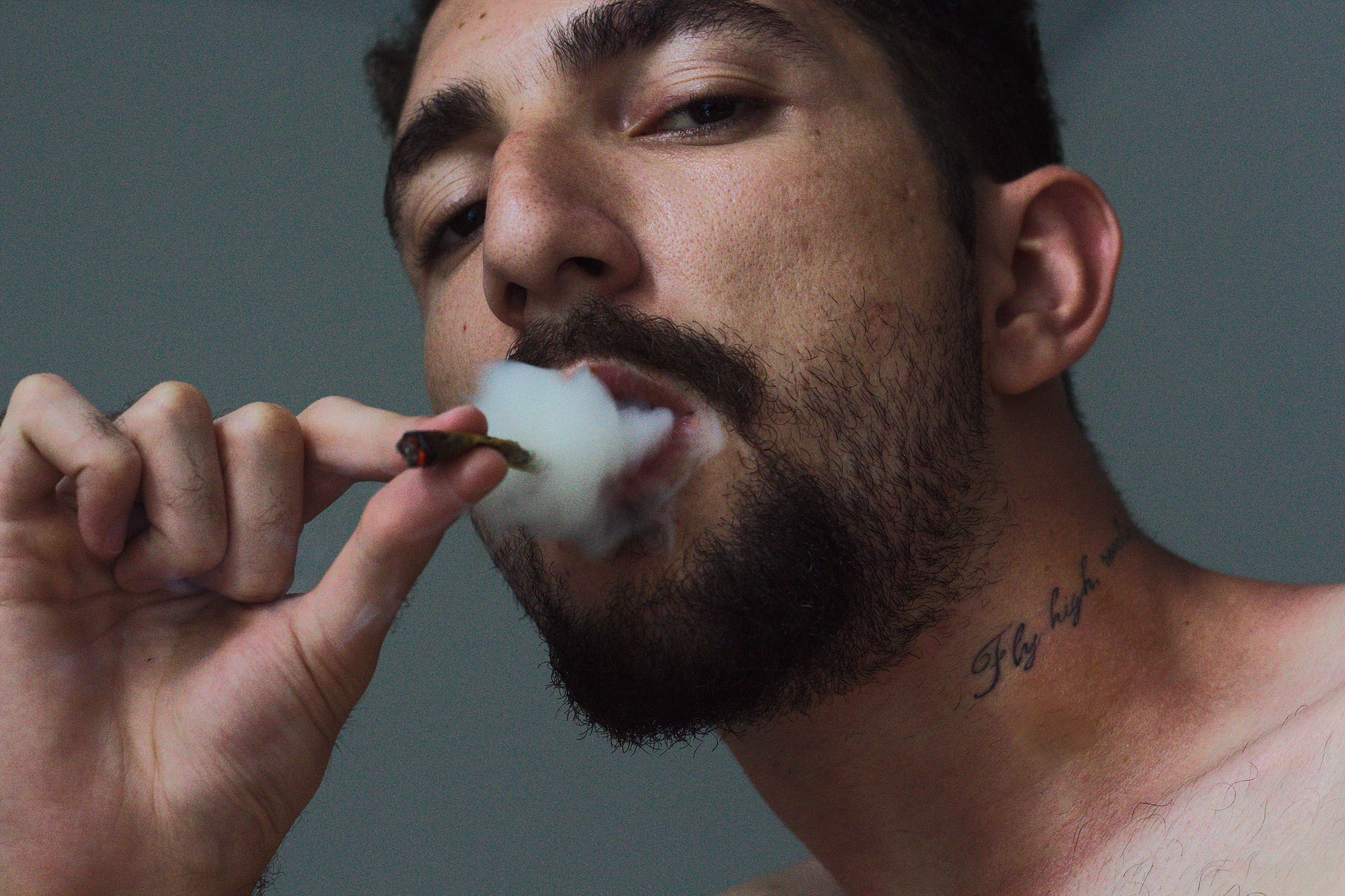自然 杂志论文 转基因酵母合成大麻素 产大麻如同酿啤酒 36氪