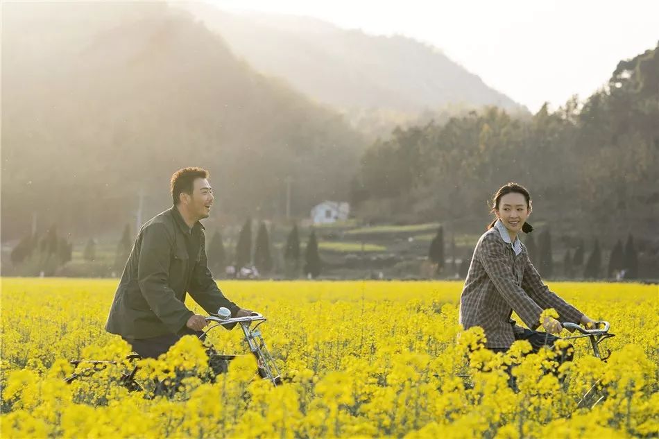 共享单车退潮，凤凰不再永久