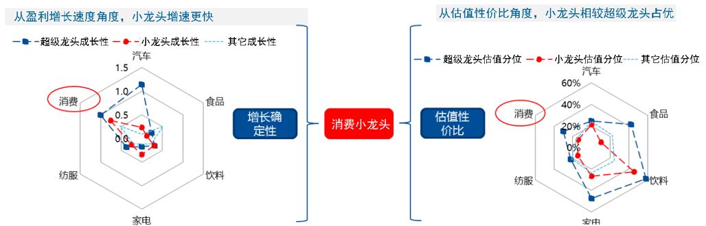 国泰君安：2020，消费行业的“小龙头时代”