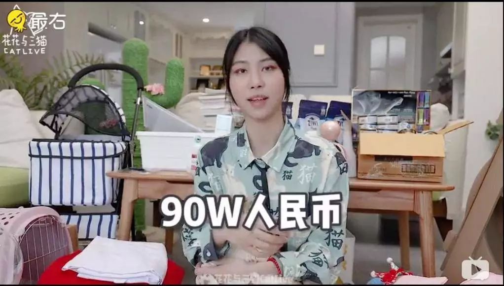 宠物博主背后的生意经