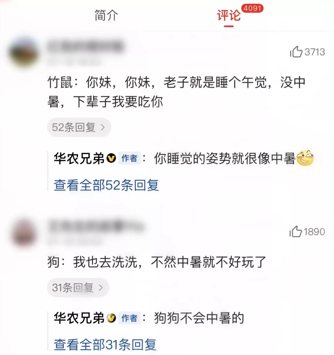 视频时代的疯传法则：《科尼2012》、华农兄弟……13个案例教你打造爆款