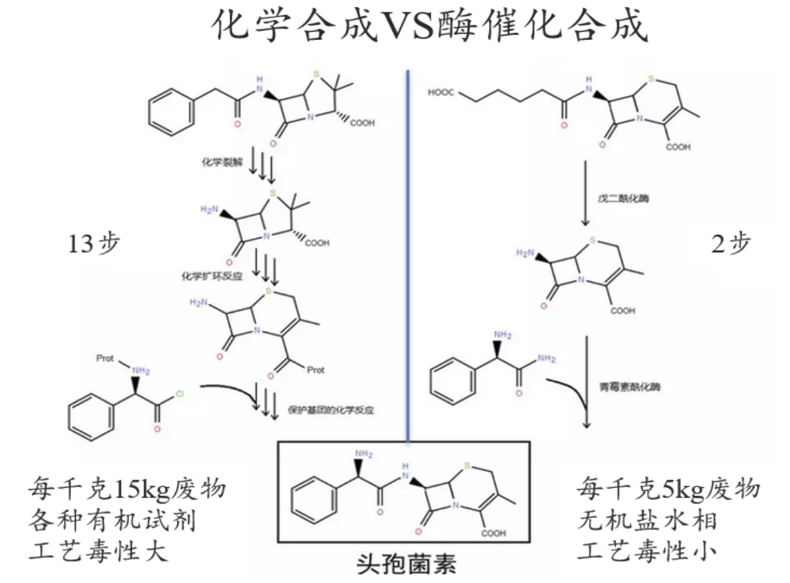 构建“酶”定向进化平台BioEngine，「酶赛生物」为客户定制酶催化解决方案