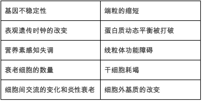 把大脑从衰老的身体里分离出来？“长寿科技”让人类活200年不再遥远