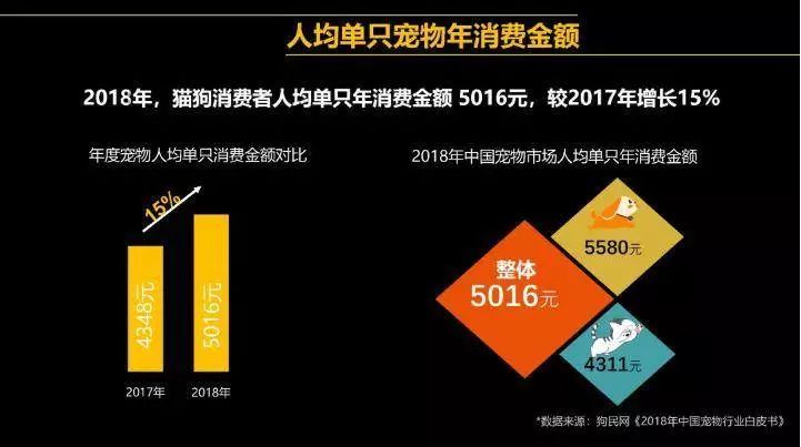 宠物博主背后的生意经