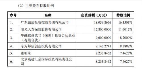 珠海银隆股权结构曝光:董明珠持股7.5%、万达3.7%、京东2%
