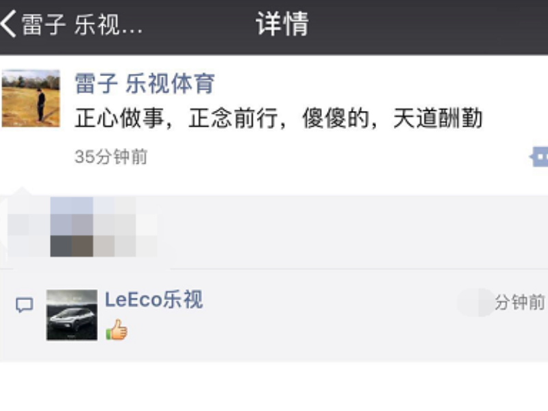贾跃亭点赞雷振剑朋友圈