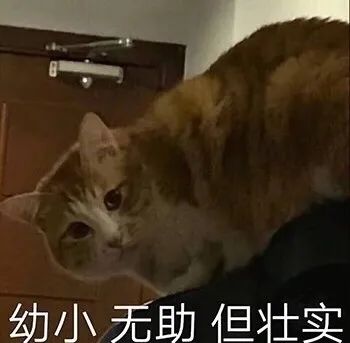 企业也有假装富二代诈骗的