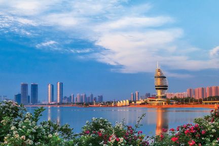 日照市新一代信息技术企业爆发强大生命力