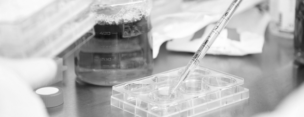 或加速纳米催化剂研发？清华系团队成立「博思福催化」