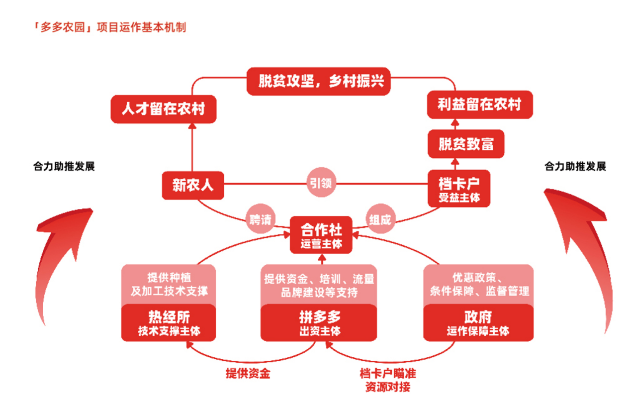 拼多多发布农产品上行发展报告，“两台四网”战略助力农业农村“新基建”