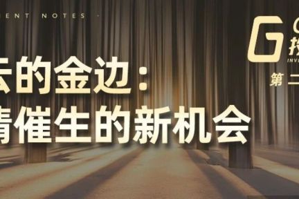 乌云的金边：疫情催生的新机会——GGV投资笔记第二十九期